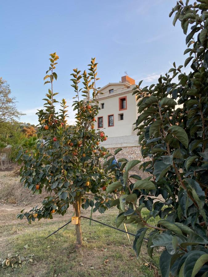 Hotel Rural Mas De L'Illa Tivissa Exteriér fotografie